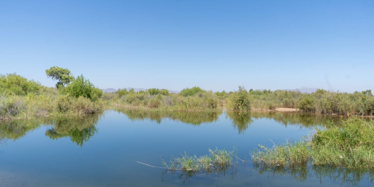 MÁS DE 35 AÑOS LIBRE DE TRANSMISIÓN DE PALUDISMO EN BC