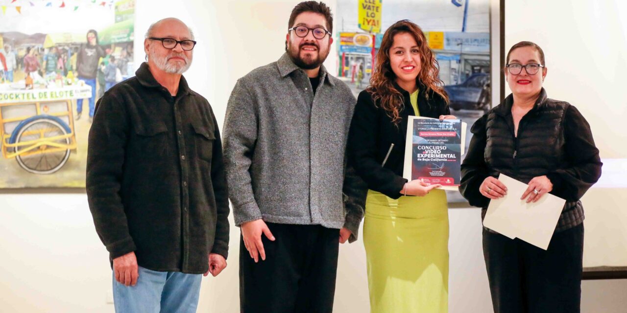 LA GANADORA Y LAS OBRAS DESTACADAS DEL VIDEO EXPERIMENTAL 2025