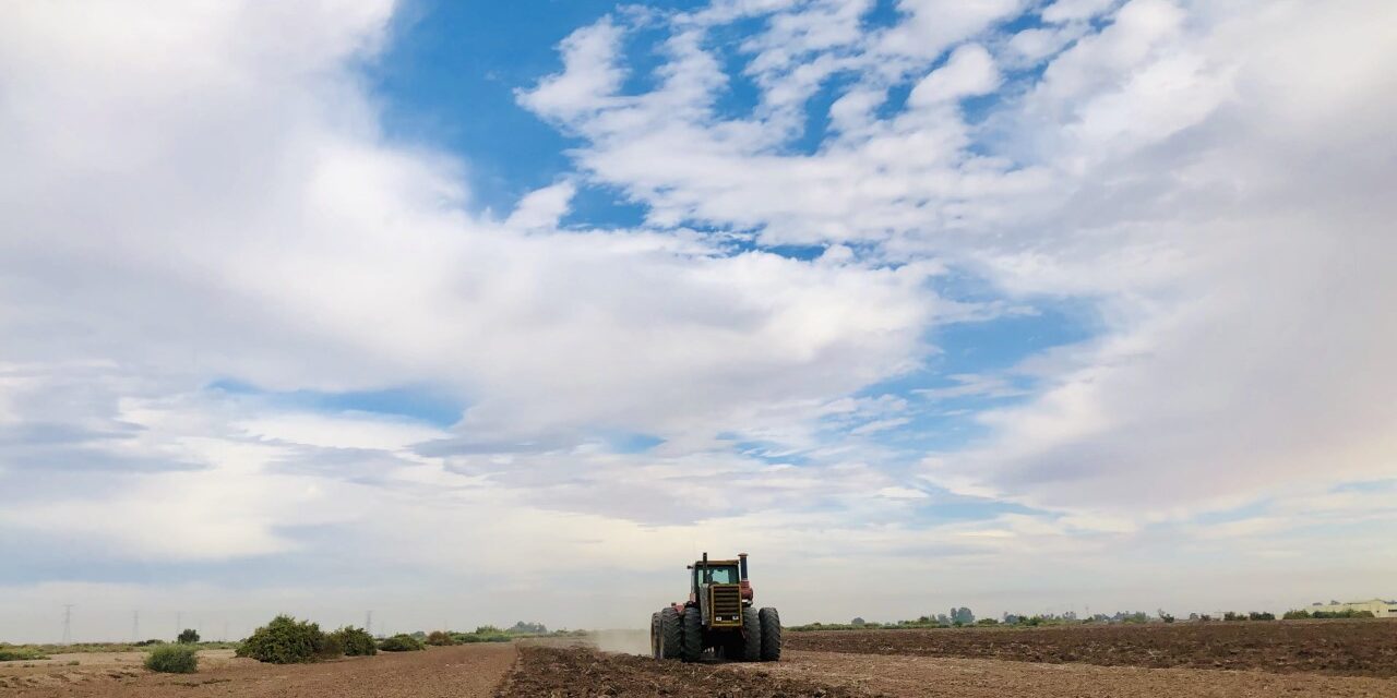 YA VIENEN LOS FESTEJOS POR EL 89 ANIVERSARIO DE EL ASALTO A LAS TIERRAS