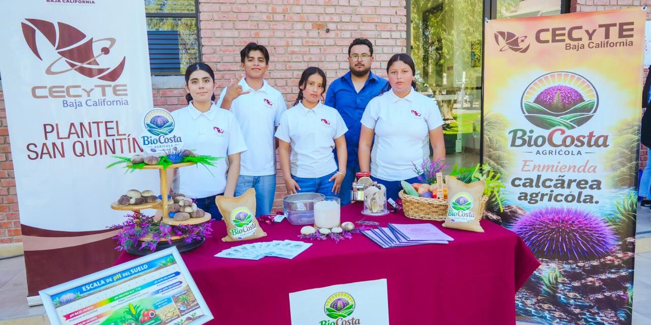 MÁS DE 50 PROYECTOS EN CONCURSO ESTATAL DE INNOVACIÓN TECNOLÓGICA Y HACKATHON 2026