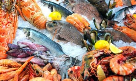 CONSUMO SEGURO DE PESCADOS Y MARISCOS EN SEMANA SANTA 2026