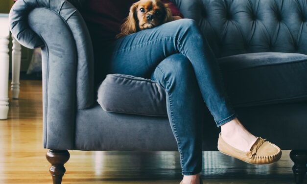 ALERTAS ANTES LOS CAMBIOS EXTREMOS