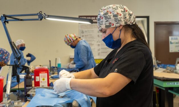 ESTERILIZACIÓN DE MASCOTAS SIN COSTO PARA LA POBLACIÓN
