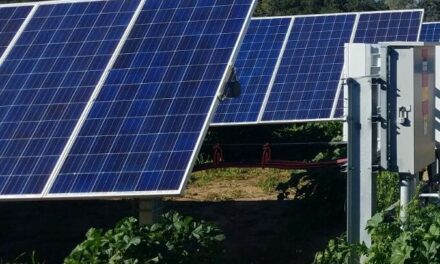 LOS PANELES SOLARES ANTE EL CALOR EXTREMO