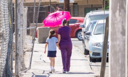 EXTREMAR CUIDADOS ANTE CALOR Y HUMEDAD