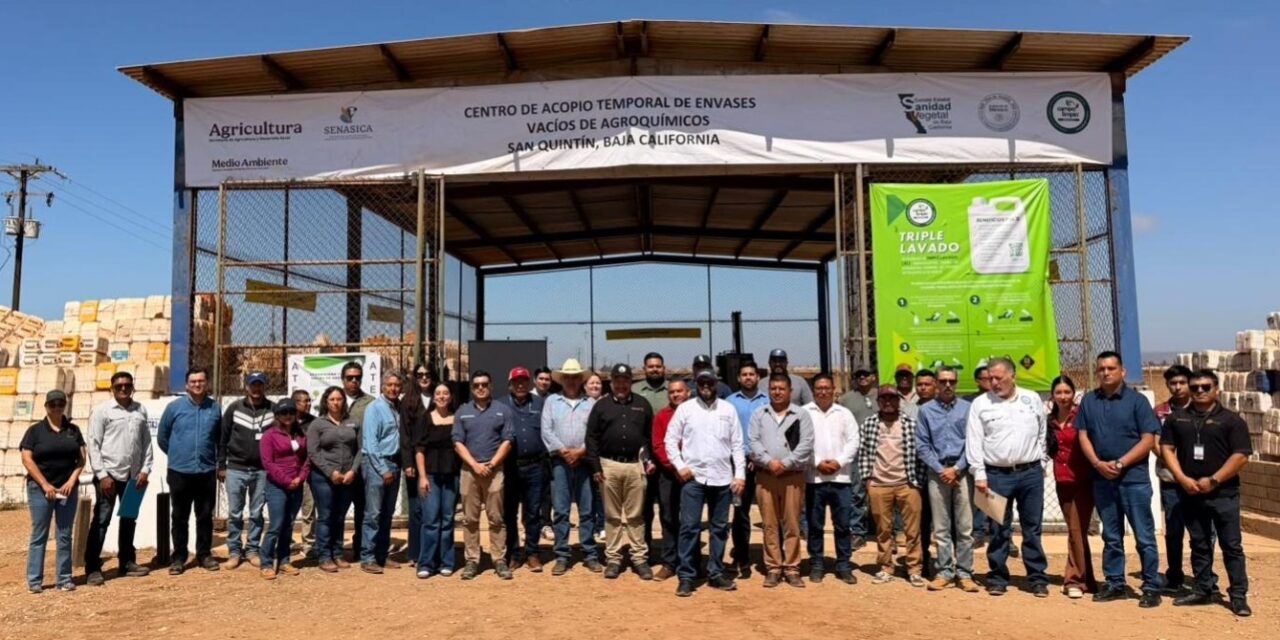 2DA. JORNADA DE RECUPERACIÓN DE ENVASES DE PLAGUICIDAS EN SAN QUINTÍN