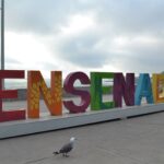ES CARNAVAL DE ENSENADA, PATRIMONIO CULTURAL DE BC
